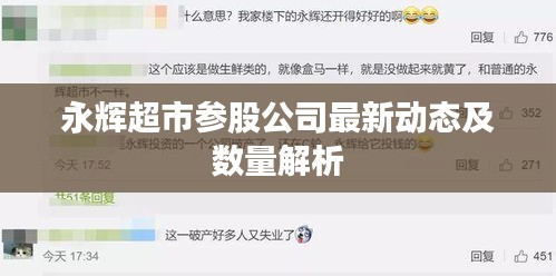 永辉超市参股公司最新动态及数量解析