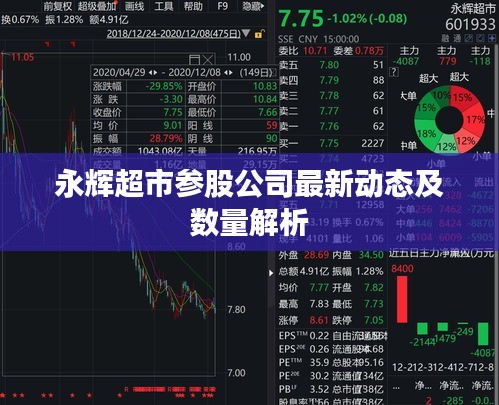 永辉超市参股公司最新动态及数量解析