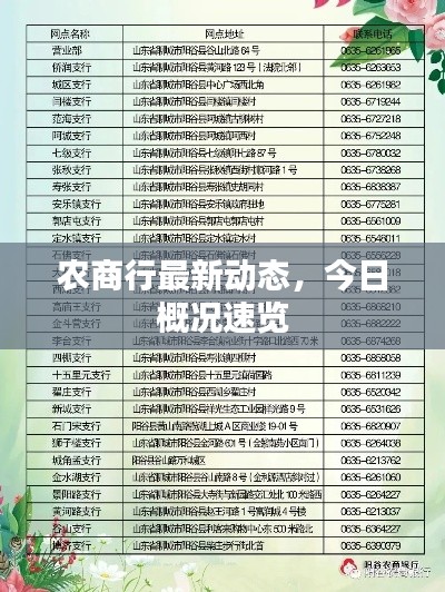 农商行最新动态,今日概况速览