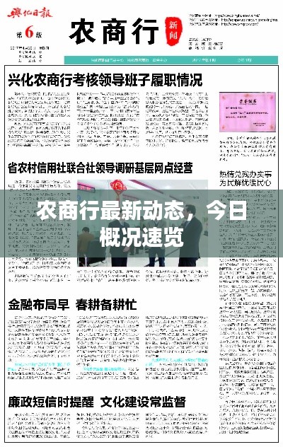 农商行最新动态,今日概况速览
