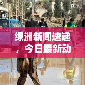 绿洲新闻速递,今日最新动态揭秘