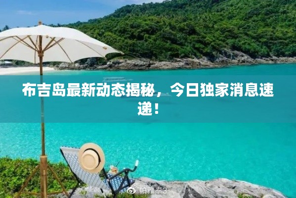 布吉岛最新动态揭秘,今日独家消息速递!