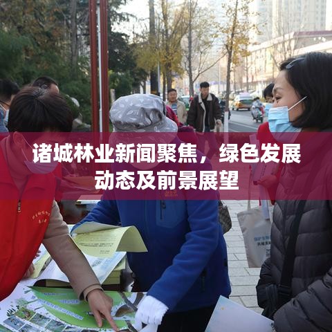 诸城林业新闻聚焦,绿色发展动态及前景展望