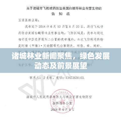 诸城林业新闻聚焦,绿色发展动态及前景展望