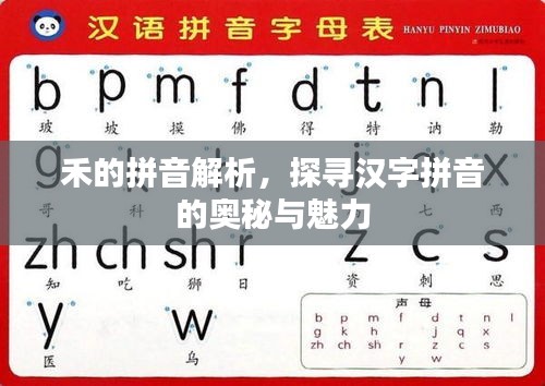 禾的拼音解析,探寻汉字拼音的奥秘与魅力