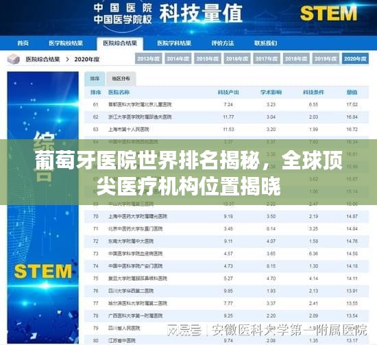 葡萄牙医院世界排名揭秘，全球顶尖医疗机构位置揭晓