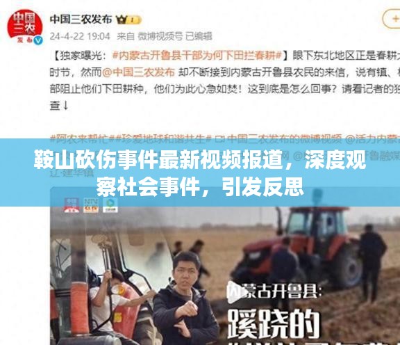 鞍山砍伤事件最新视频报道,深度观察社会事件,引发反思