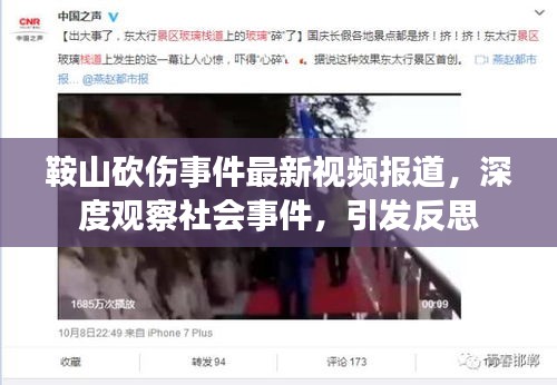 鞍山砍伤事件最新视频报道,深度观察社会事件,引发反思