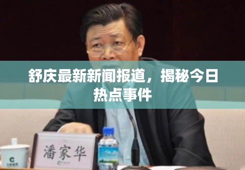 舒庆最新新闻报道，揭秘今日热点事件