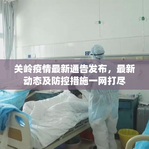 关岭疫情最新通告发布,最新动态及防控措施一网打尽
