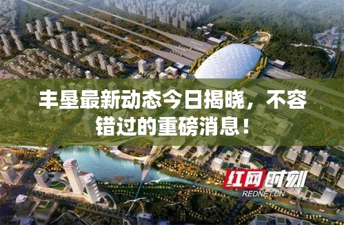 丰垦最新动态今日揭晓，不容错过的重磅消息！
