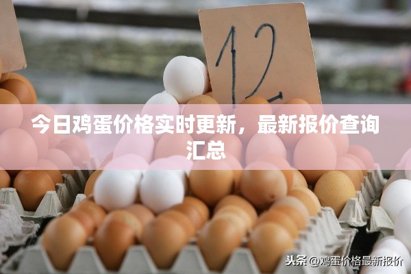 今日鸡蛋价格实时更新,最新报价查询汇总