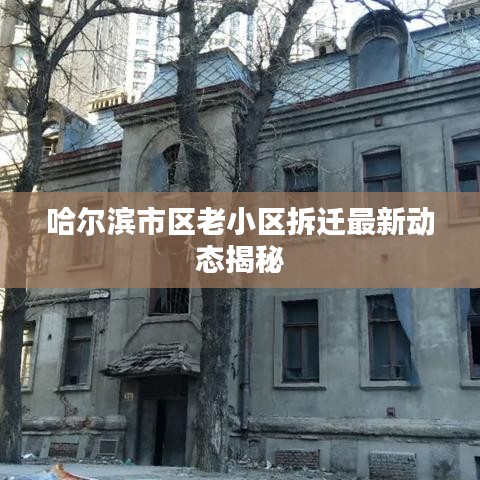鸟云之阵 第3页
