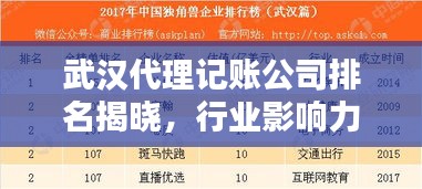 武汉代理记账公司排名揭晓,行业影响力榜单及专业服务水平揭秘