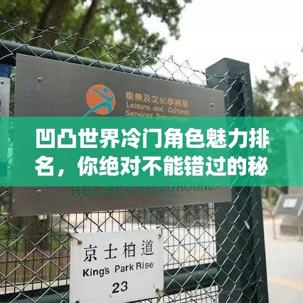凹凸世界冷门角色魅力排名,你绝对不能错过的秘密!