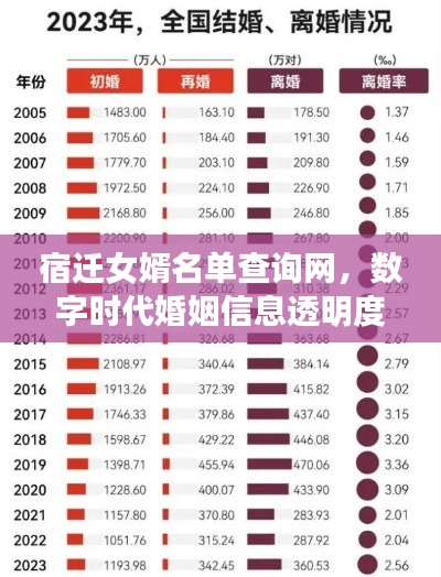 宿迁女婿名单查询网,数字时代婚姻信息透明度揭秘