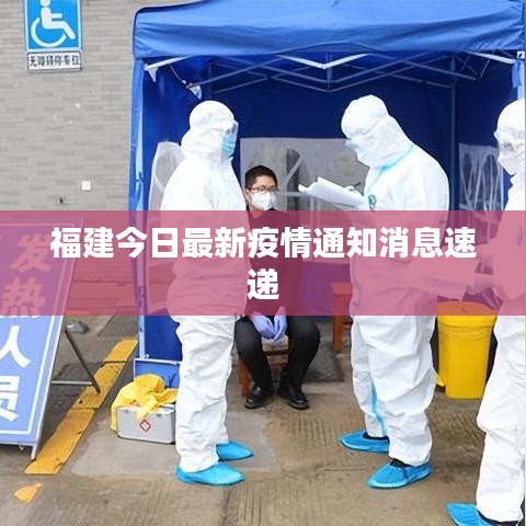 福建今日最新疫情通知消息速递