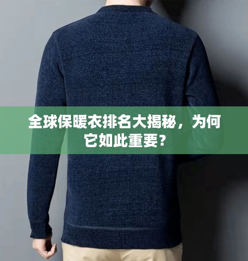 全球保暖衣排名大揭秘,为何它如此重要?