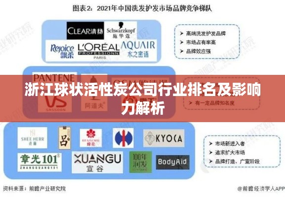 浙江球状活性炭公司行业排名及影响力解析
