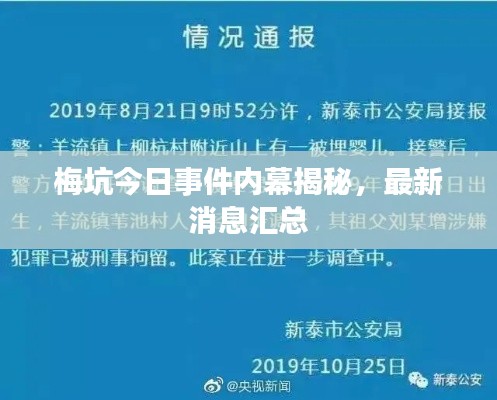 梅坑今日事件内幕揭秘,最新消息汇总