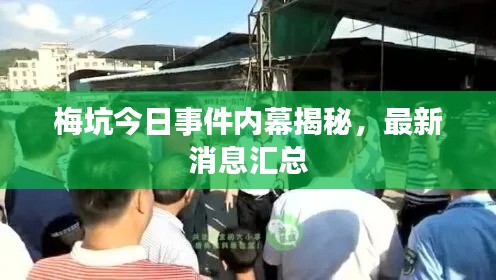 梅坑今日事件内幕揭秘,最新消息汇总