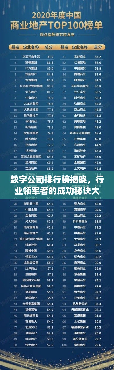 数字公司排行榜揭晓，行业领军者的成功秘诀大揭秘！