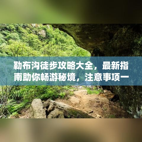 聚精会神 第4页