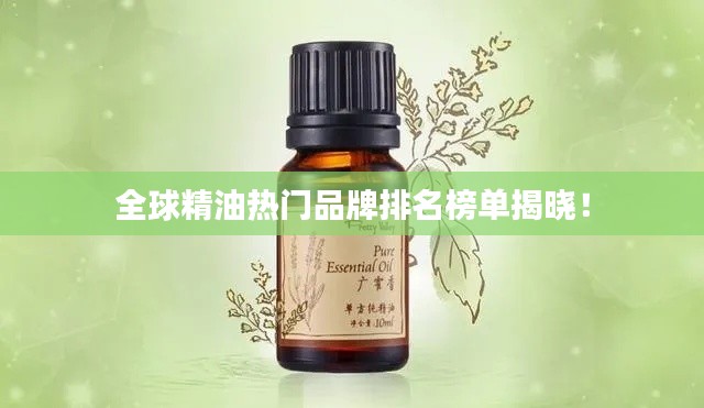 久别重逢 第3页