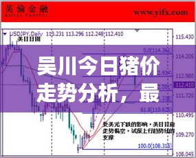 吴川今日猪价走势分析,最新行情解读