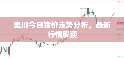 吴川今日猪价走势分析,最新行情解读