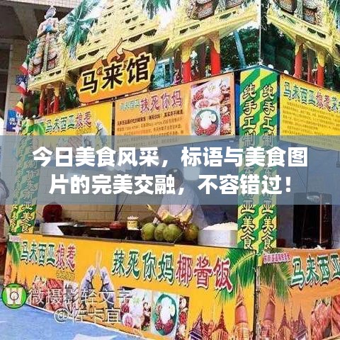 今日美食风采,标语与美食图片的完美交融,不容错过!