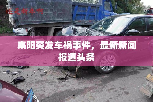 耒阳突发车祸事件,最新新闻报道头条