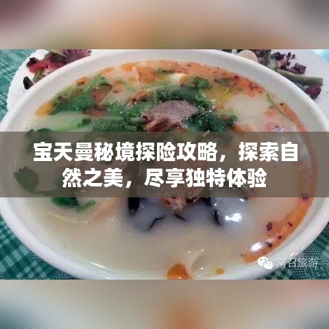 宝天曼秘境探险攻略,探索自然之美,尽享独特体验