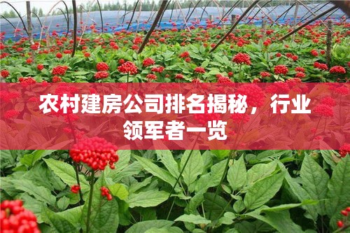 宵衣旰食 第3页