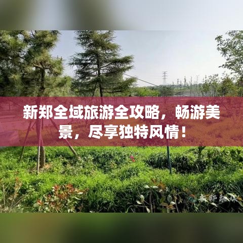 新郑全域旅游全攻略，畅游美景，尽享独特风情！