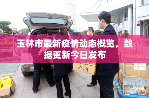 玉林市最新疫情动态概览,数据更新今日发布