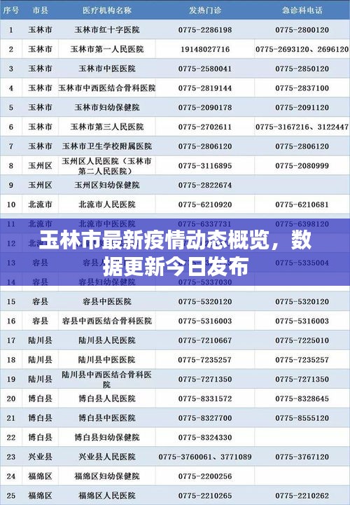 玉林市最新疫情动态概览,数据更新今日发布