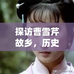 物稀为贵 第3页