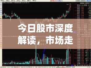 今日股市深度解读,市场走势分析、最新股评与前瞻