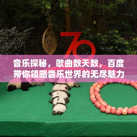 音乐探秘,歌曲数天数,百度带你领略音乐世界的无尽魅力