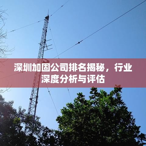 深圳加固公司排名揭秘，行业深度分析与评估
