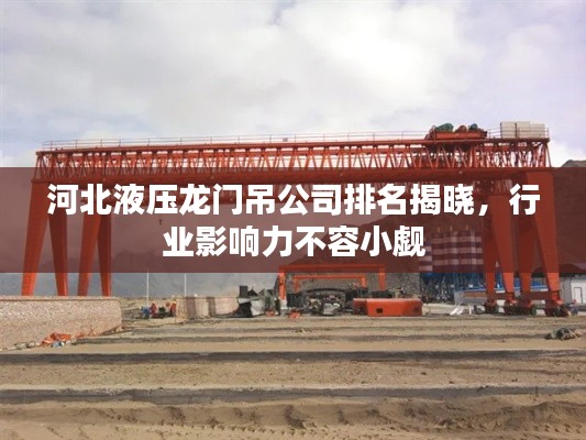 河北液压龙门吊公司排名揭晓,行业影响力不容小觑
