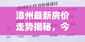 漳州最新房价走势揭秘,今日房价分析报告