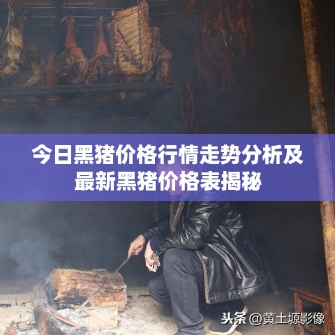 劳燕分飞 第3页