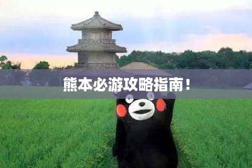 熊本必游攻略指南!