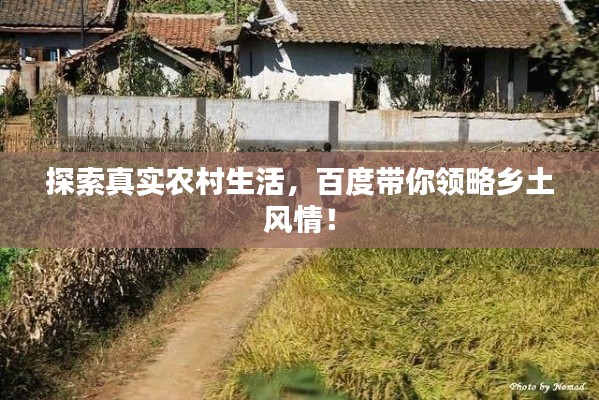 蛙蟆胜负 第4页