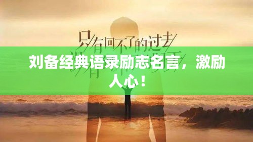 达官贵人 第4页