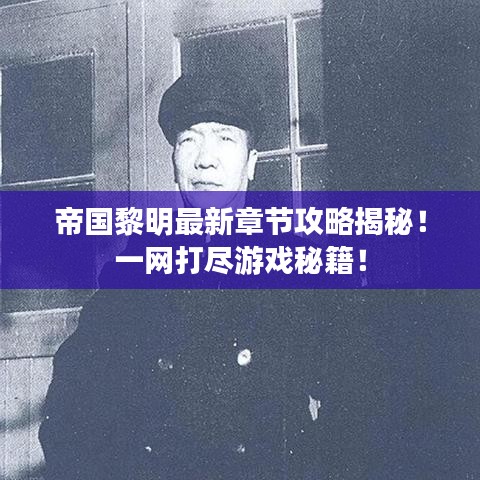 帝国黎明最新章节攻略揭秘!一网打尽游戏秘籍!