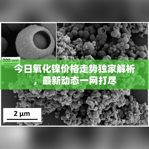今日氧化镍价格走势独家解析,最新动态一网打尽