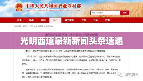 光明西道最新新闻头条速递